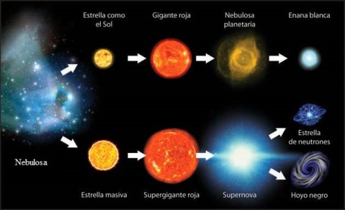 Resultado de imagen de tipos de estrellas neutrones enanas rojas